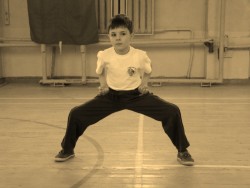 Стойка всадника (ма бу - букв."шаг лошади")