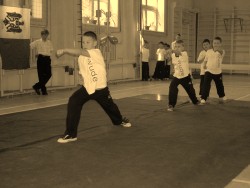 Прямой удар кулаком (чун цюань) в позиции выпада гун бу (букв. "шаг лука")