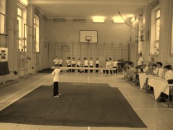 Выполнение комплекса (тао лу)